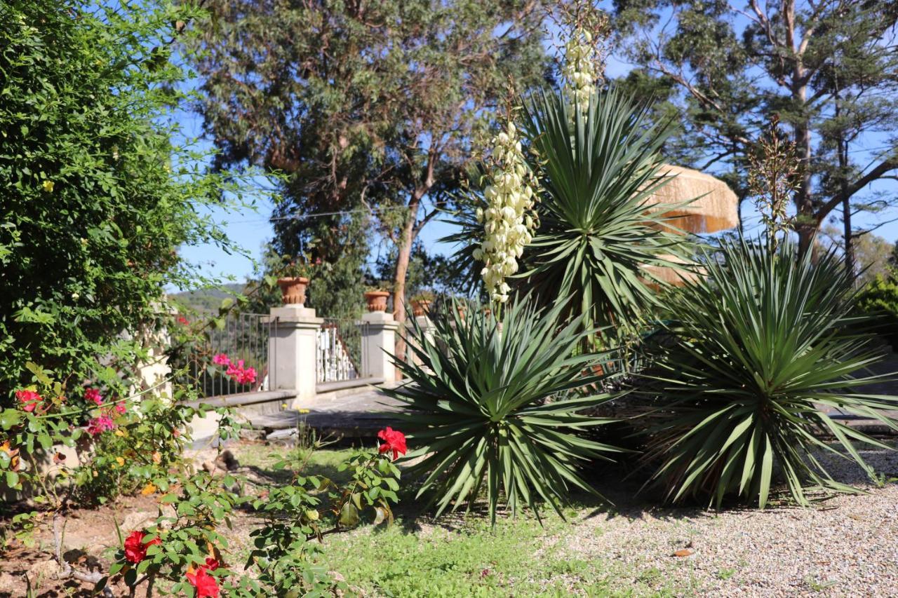 Villa Teresa Porto Azzurro Buitenkant foto