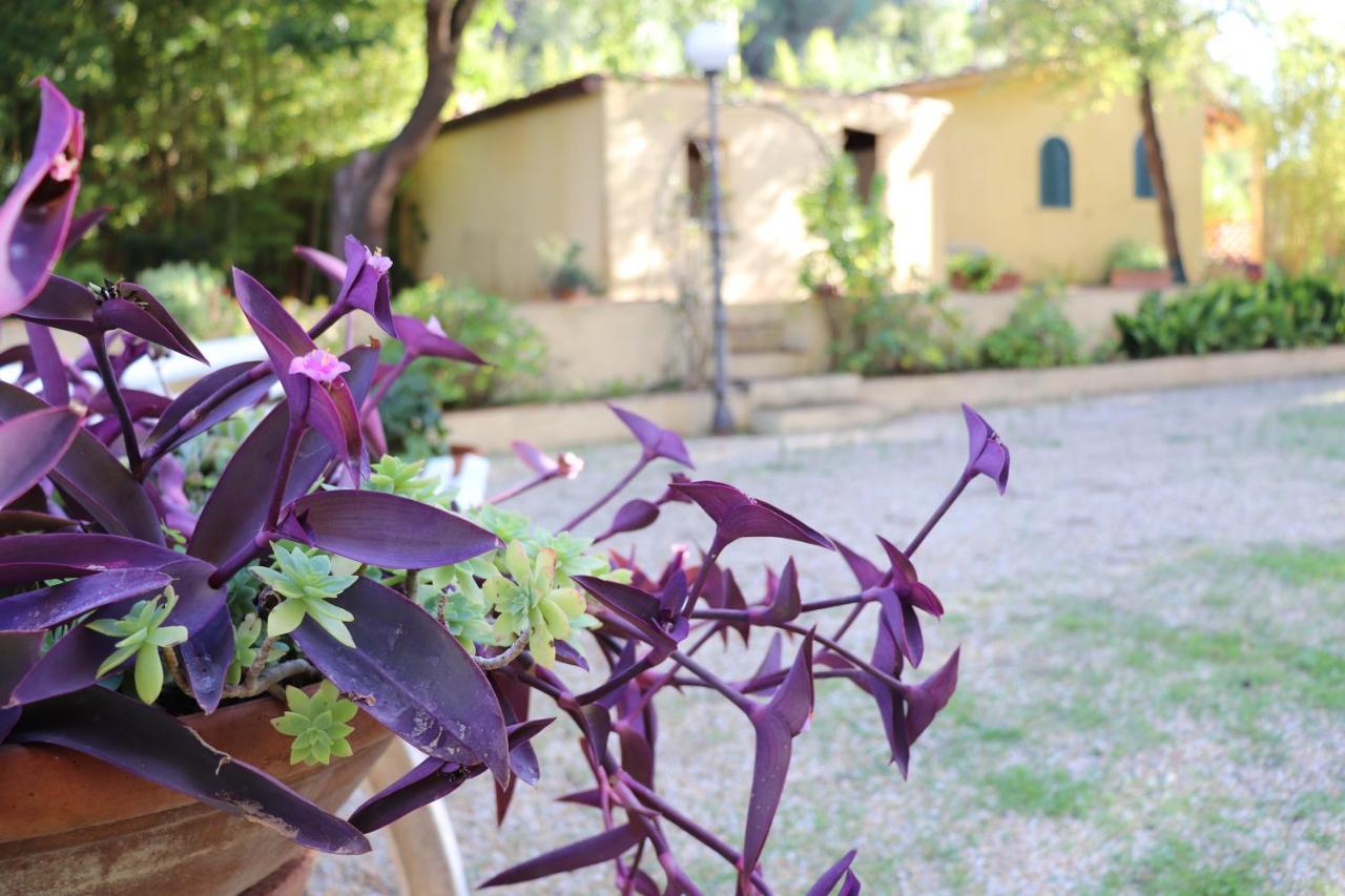 Villa Teresa Porto Azzurro Buitenkant foto