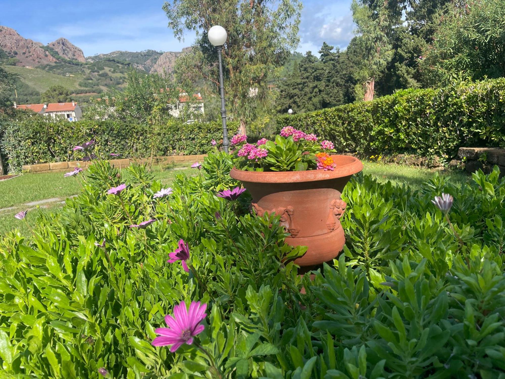 Villa Teresa Porto Azzurro Buitenkant foto